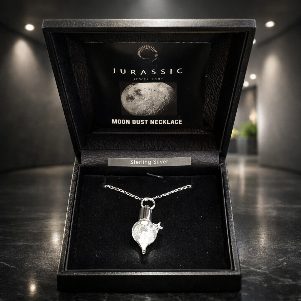 The Moon Dust - Image 2