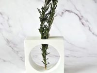 Propagation Frame Vase