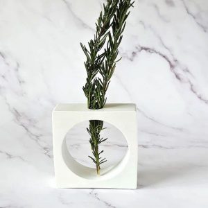 Propagation Frame Vase